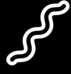 white-shape-banner2
