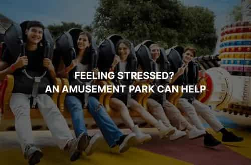 Feeling Stressed? An Amusement Park Can Help